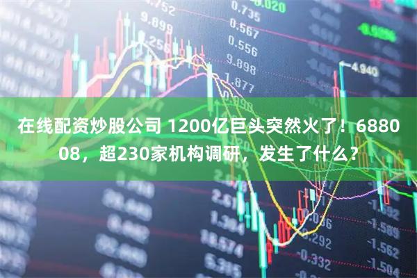 在线配资炒股公司 1200亿巨头突然火了！688008，超230家机构调研，发生了什么？