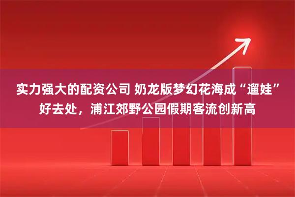 实力强大的配资公司 奶龙版梦幻花海成“遛娃”好去处，浦江郊野公园假期客流创新高